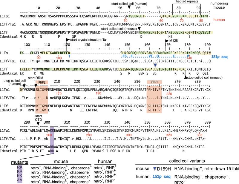 https://cdn.ncbi.nlm.nih.gov/pmc/blobs/e2fb/6428221/f5248c691cc3/nihms-1521012-f0002.jpg