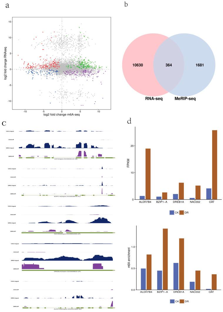 https://cdn.ncbi.nlm.nih.gov/pmc/blobs/e2fd/10650135/ce25c71c63f2/plants-12-03668-g004.jpg