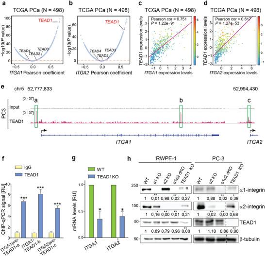 https://cdn.ncbi.nlm.nih.gov/pmc/blobs/e2fd/10953553/123374ac6f4d/ADVS-11-2305547-g011.jpg