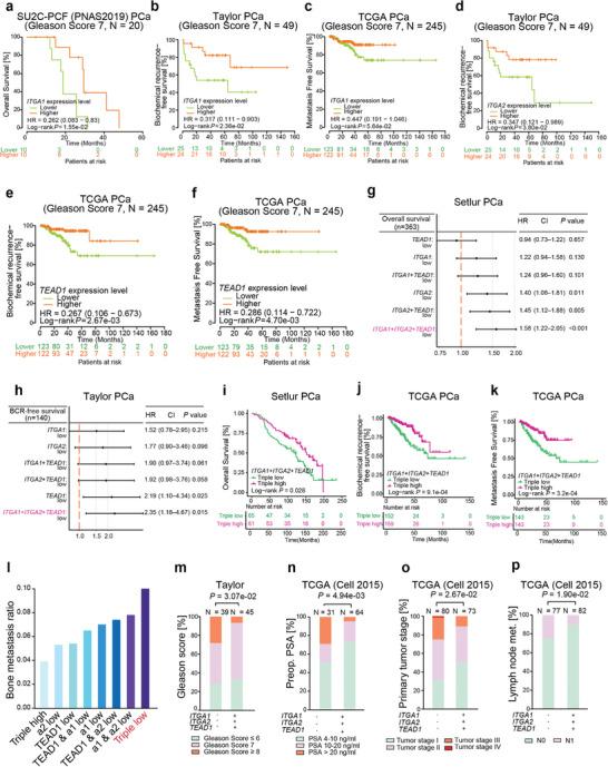 https://cdn.ncbi.nlm.nih.gov/pmc/blobs/e2fd/10953553/3cc657499b70/ADVS-11-2305547-g001.jpg