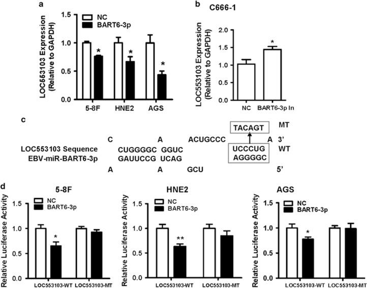 https://cdn.ncbi.nlm.nih.gov/pmc/blobs/e2fd/5059857/8ffe06b3a492/cddis2016253f2.jpg