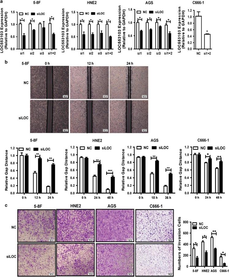 https://cdn.ncbi.nlm.nih.gov/pmc/blobs/e2fd/5059857/c50a12a0b74f/cddis2016253f3.jpg
