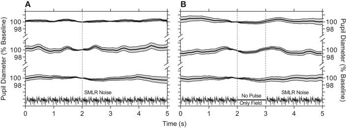 https://cdn.ncbi.nlm.nih.gov/pmc/blobs/e2fe/6540681/baf6f1b22fff/fneur-10-00529-g0001.jpg