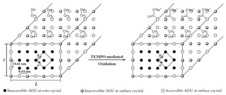 https://cdn.ncbi.nlm.nih.gov/pmc/blobs/e2fe/8306899/41510643b9d2/nanomaterials-11-01641-sch004.jpg
