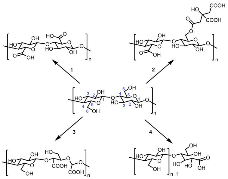https://cdn.ncbi.nlm.nih.gov/pmc/blobs/e2fe/8306899/73ff0c17932d/nanomaterials-11-01641-sch001.jpg