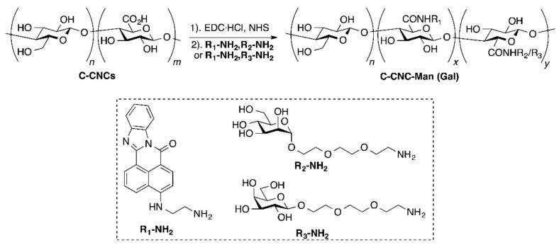 https://cdn.ncbi.nlm.nih.gov/pmc/blobs/e2fe/8306899/b9611552eb44/nanomaterials-11-01641-sch011.jpg