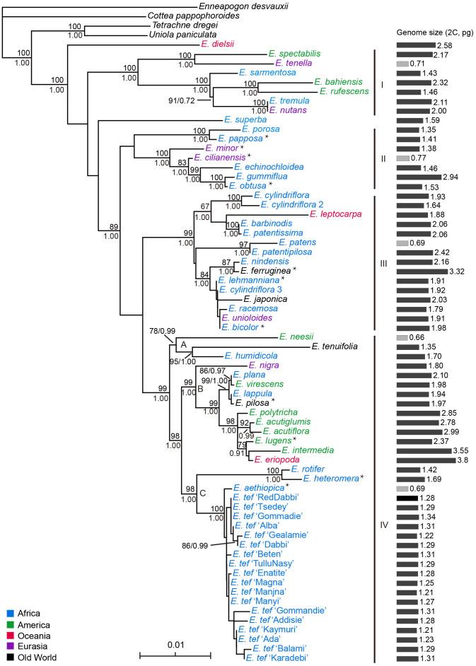 https://cdn.ncbi.nlm.nih.gov/pmc/blobs/e2ff/10040770/791942424839/fpls-14-1066925-g001.jpg