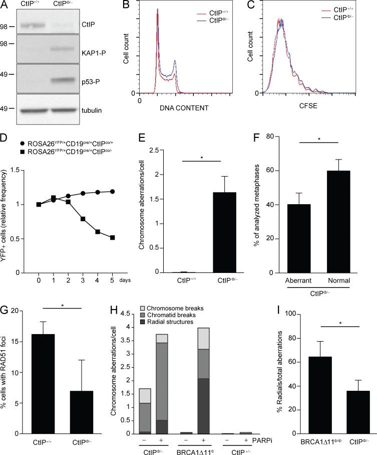 https://cdn.ncbi.nlm.nih.gov/pmc/blobs/e304/4042650/b8c5ed03c292/JEM_20131939_Fig1.jpg