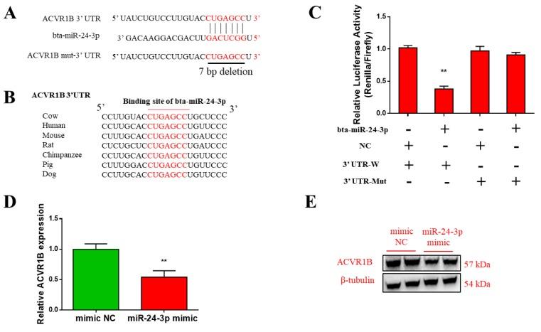 https://cdn.ncbi.nlm.nih.gov/pmc/blobs/e305/6912306/e4362f511a95/animals-09-00859-g004.jpg