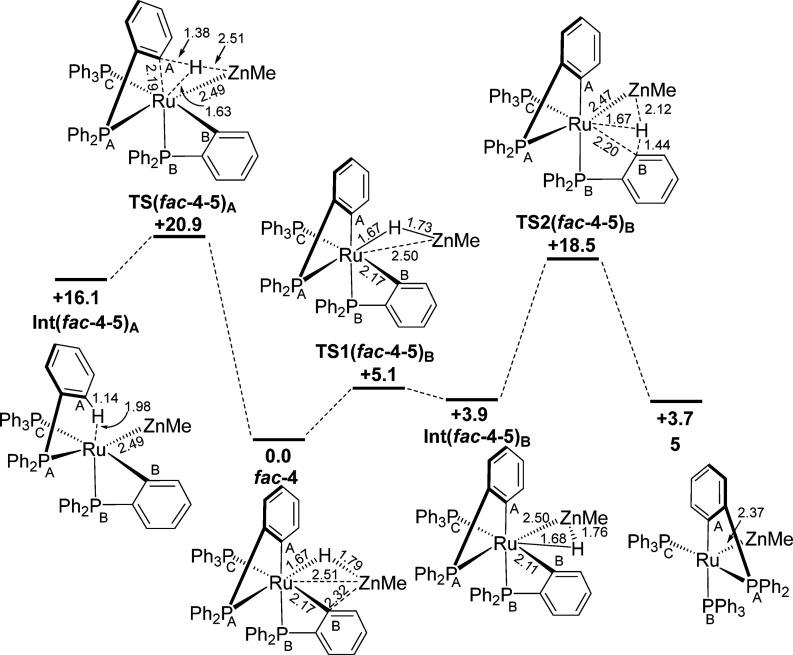 https://cdn.ncbi.nlm.nih.gov/pmc/blobs/e305/7660749/77f6fb621f71/ja0c01062_0004.jpg