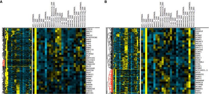 https://cdn.ncbi.nlm.nih.gov/pmc/blobs/e305/8042271/da62914f460d/fimmu-12-595811-g006.jpg