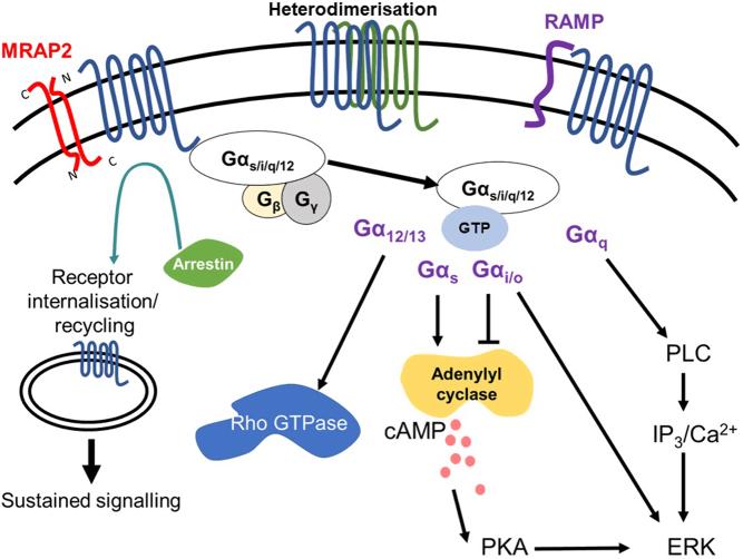 https://cdn.ncbi.nlm.nih.gov/pmc/blobs/e306/10160555/4706d9dc55eb/JME-23-0014fig1.jpg