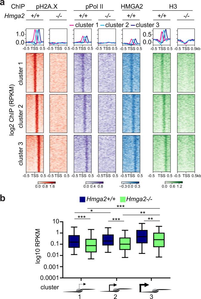 https://cdn.ncbi.nlm.nih.gov/pmc/blobs/e306/7886895/d81214649647/41467_2021_21227_Fig3_HTML.jpg