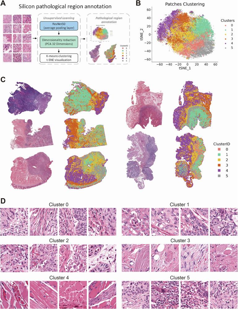 https://cdn.ncbi.nlm.nih.gov/pmc/blobs/e30b/11871237/074ea45df80a/41698_2025_844_Fig5_HTML.jpg