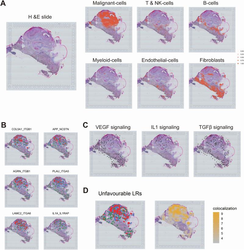 https://cdn.ncbi.nlm.nih.gov/pmc/blobs/e30b/11871237/794bb11e9f96/41698_2025_844_Fig4_HTML.jpg