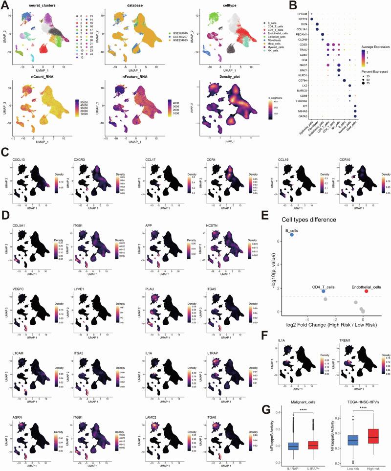 https://cdn.ncbi.nlm.nih.gov/pmc/blobs/e30b/11871237/98428a51e249/41698_2025_844_Fig3_HTML.jpg