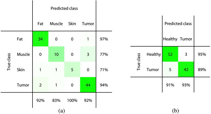 https://cdn.ncbi.nlm.nih.gov/pmc/blobs/e30f/10869119/87a138dc8c55/JBO-029-027001-g005.jpg