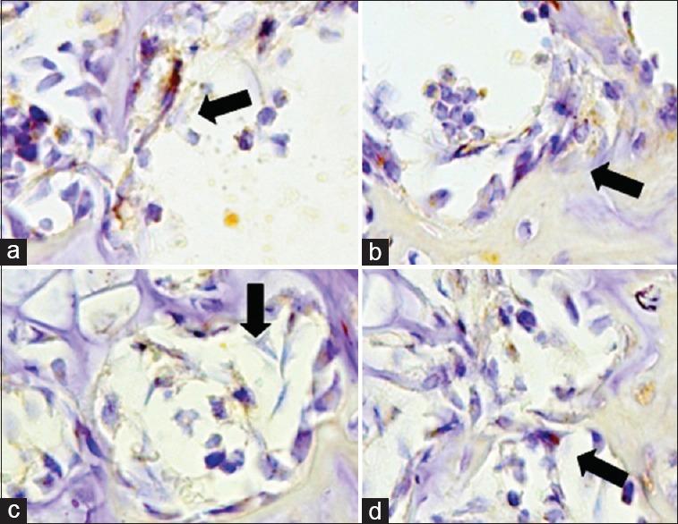 https://cdn.ncbi.nlm.nih.gov/pmc/blobs/e30f/5601494/8d88c3d86932/JIPS-17-282-g004.jpg