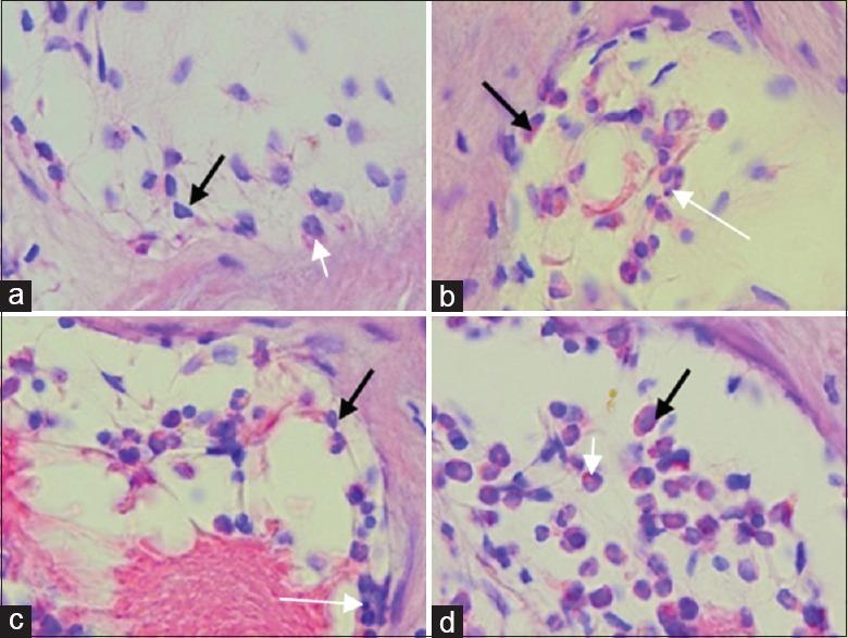 https://cdn.ncbi.nlm.nih.gov/pmc/blobs/e30f/5601494/a5629c09cc65/JIPS-17-282-g002.jpg