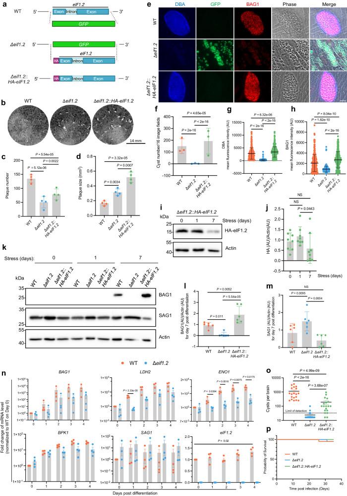 https://cdn.ncbi.nlm.nih.gov/pmc/blobs/e310/11116398/e9bcf7778158/41467_2024_48685_Fig4_HTML.jpg
