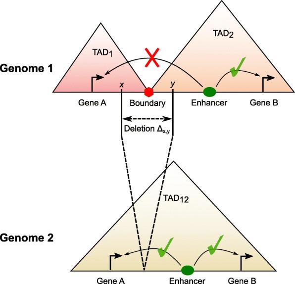 https://cdn.ncbi.nlm.nih.gov/pmc/blobs/e310/6427865/ec182d7d7732/13059_2019_1666_Fig1_HTML.jpg