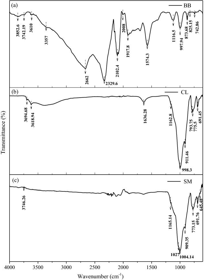https://cdn.ncbi.nlm.nih.gov/pmc/blobs/e311/10110512/1a86e52d4a8a/41598_2023_33466_Fig4_HTML.jpg