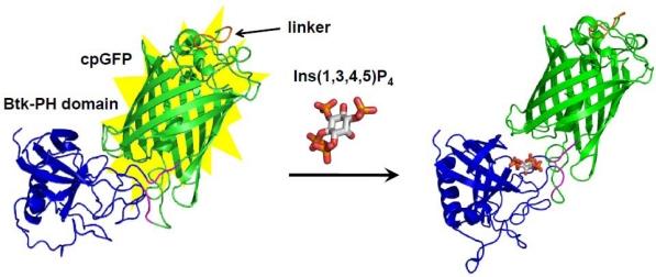 https://cdn.ncbi.nlm.nih.gov/pmc/blobs/e311/3244018/364ce2920a78/sensors-10-01355f2.jpg