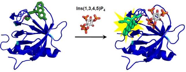 https://cdn.ncbi.nlm.nih.gov/pmc/blobs/e311/3244018/ae2826b5df98/sensors-10-01355f4.jpg