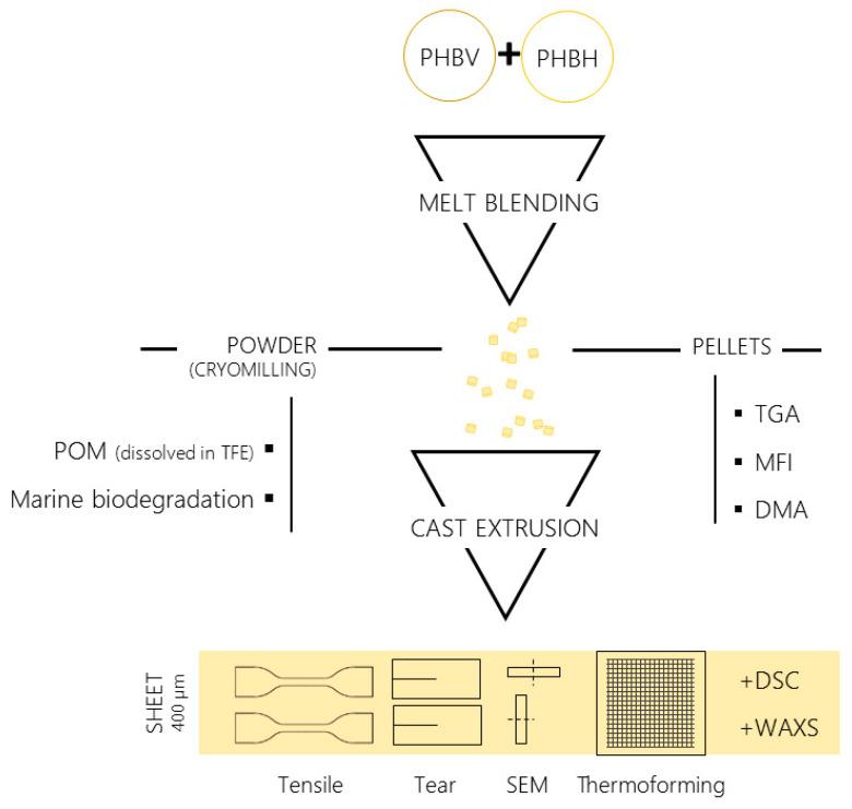 https://cdn.ncbi.nlm.nih.gov/pmc/blobs/e315/9269288/df9ea9fd4ec8/polymers-14-02527-g001.jpg