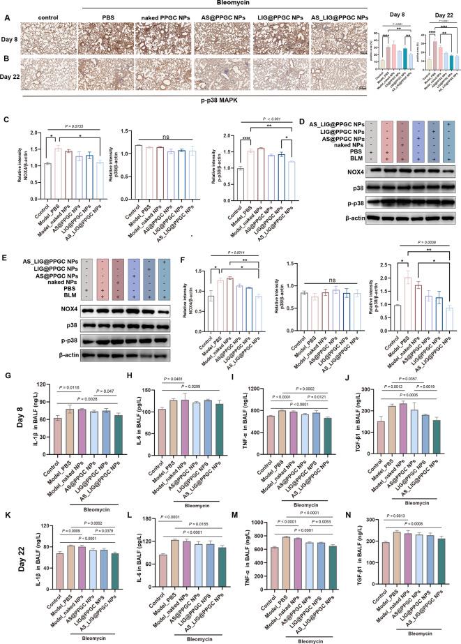 https://cdn.ncbi.nlm.nih.gov/pmc/blobs/e318/10763202/368869da1caa/12951_2023_2251_Fig7_HTML.jpg