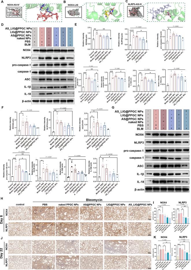 https://cdn.ncbi.nlm.nih.gov/pmc/blobs/e318/10763202/65165bd65dc9/12951_2023_2251_Fig6_HTML.jpg