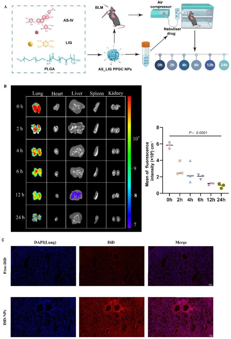 https://cdn.ncbi.nlm.nih.gov/pmc/blobs/e318/10763202/75760c439307/12951_2023_2251_Fig3_HTML.jpg