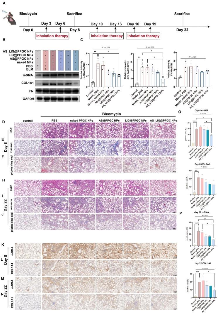 https://cdn.ncbi.nlm.nih.gov/pmc/blobs/e318/10763202/b320ba6bedc9/12951_2023_2251_Fig5_HTML.jpg
