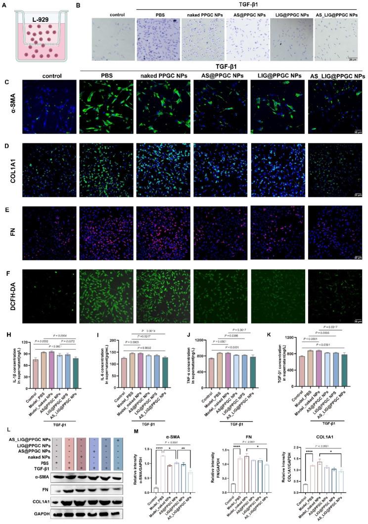 https://cdn.ncbi.nlm.nih.gov/pmc/blobs/e318/10763202/c861b1790675/12951_2023_2251_Fig4_HTML.jpg