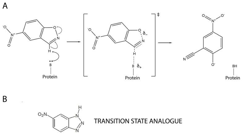 https://cdn.ncbi.nlm.nih.gov/pmc/blobs/e318/9408544/d7aa0a547272/ijms-23-08934-g001.jpg