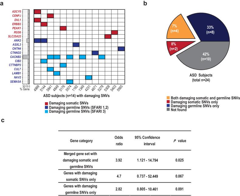 https://cdn.ncbi.nlm.nih.gov/pmc/blobs/e31a/11372092/0e720aedccb7/12276_2024_1284_Fig4_HTML.jpg