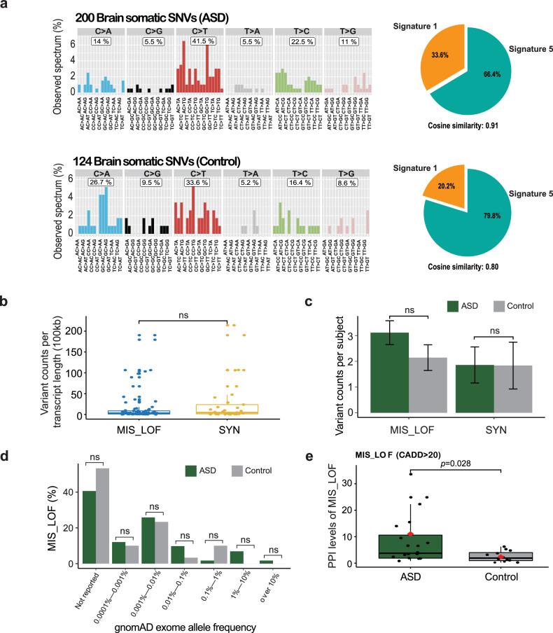 https://cdn.ncbi.nlm.nih.gov/pmc/blobs/e31a/11372092/85f1da882779/12276_2024_1284_Fig2_HTML.jpg