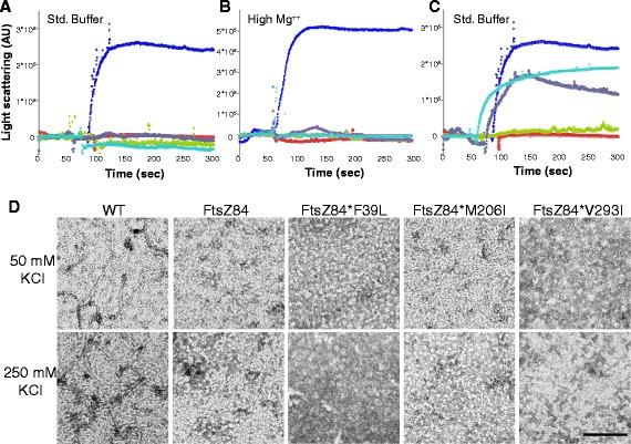 https://cdn.ncbi.nlm.nih.gov/pmc/blobs/e31d/4603965/6bd8da46f93f/12866_2015_544_Fig5_HTML.jpg