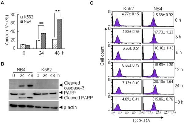 https://cdn.ncbi.nlm.nih.gov/pmc/blobs/e31f/4130628/781eaa96ca6c/pone.0104985.g001.jpg