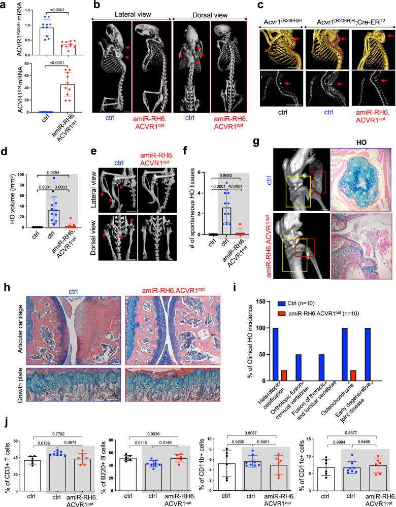 https://cdn.ncbi.nlm.nih.gov/pmc/blobs/e31f/9579182/05e963fe3c0c/41467_2022_33956_Fig6_HTML.jpg