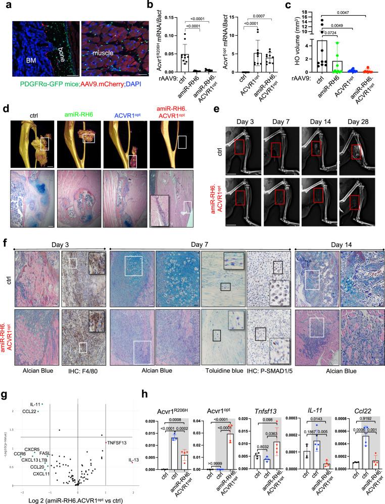 https://cdn.ncbi.nlm.nih.gov/pmc/blobs/e31f/9579182/2b468567bd5f/41467_2022_33956_Fig4_HTML.jpg