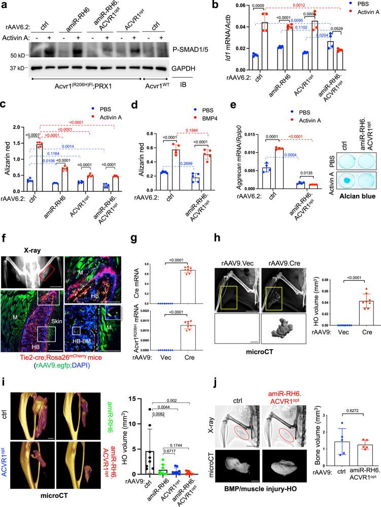 https://cdn.ncbi.nlm.nih.gov/pmc/blobs/e31f/9579182/4111e9ab4f54/41467_2022_33956_Fig3_HTML.jpg