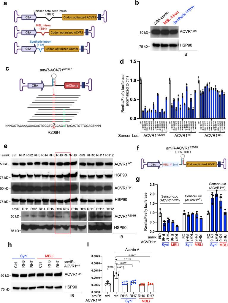 https://cdn.ncbi.nlm.nih.gov/pmc/blobs/e31f/9579182/575869158e08/41467_2022_33956_Fig1_HTML.jpg