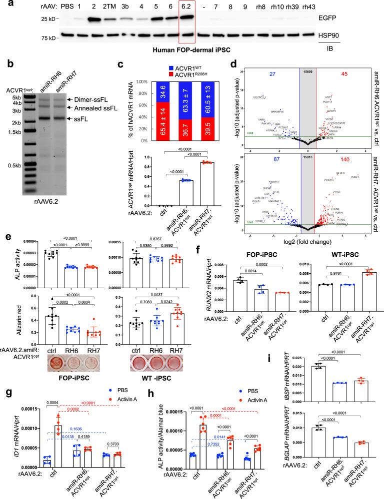 https://cdn.ncbi.nlm.nih.gov/pmc/blobs/e31f/9579182/83a2731e9054/41467_2022_33956_Fig2_HTML.jpg