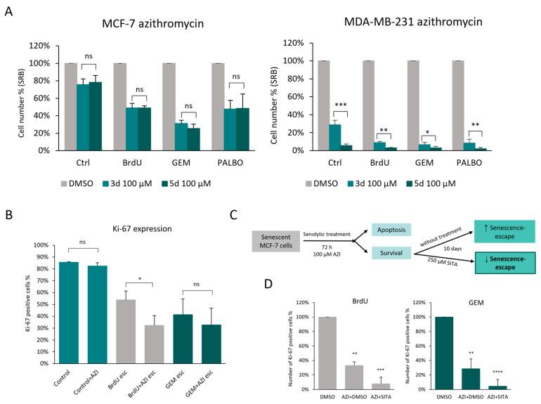 https://cdn.ncbi.nlm.nih.gov/pmc/blobs/e320/11120107/7e83a939b3e3/cells-13-00841-g007.jpg