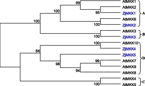 https://cdn.ncbi.nlm.nih.gov/pmc/blobs/e321/5680602/3b920435e7fa/12864_2017_4259_Fig6_HTML.jpg