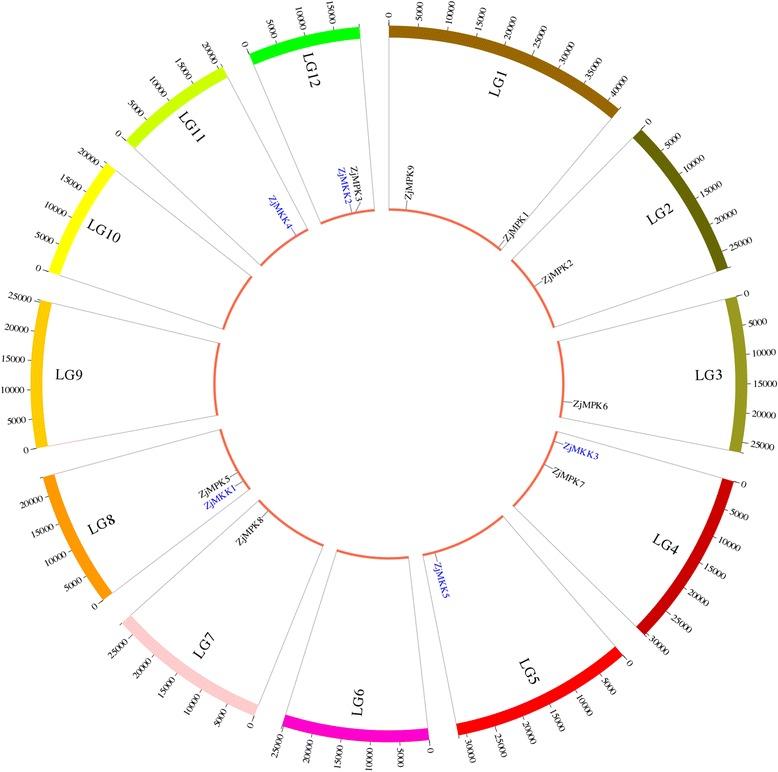 https://cdn.ncbi.nlm.nih.gov/pmc/blobs/e321/5680602/87d8dcc62646/12864_2017_4259_Fig1_HTML.jpg