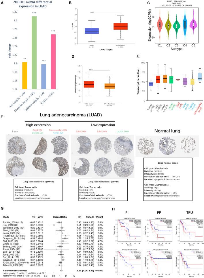 https://cdn.ncbi.nlm.nih.gov/pmc/blobs/e321/8490697/dafcb2bbb536/fcell-09-734897-g002.jpg