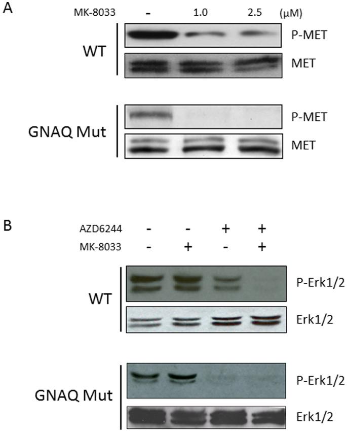 https://cdn.ncbi.nlm.nih.gov/pmc/blobs/e324/3923717/bbf5cddbed26/pone.0083957.g002.jpg