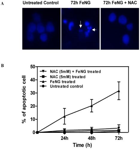 https://cdn.ncbi.nlm.nih.gov/pmc/blobs/e326/2889820/74d96f3a00fa/pone.0011253.g003.jpg